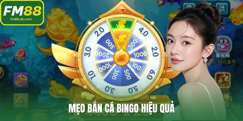 Mẹo bắn cá bingo hiệu quả